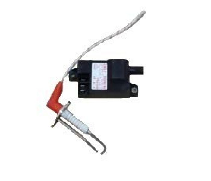 Transformateur d'allumage avec électrode